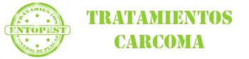 tratamientos CARCOMA banner VERDE