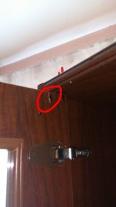cucaracha alemana en mueble